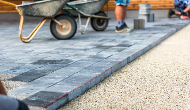 Best Driveway paver repairs and maintenance in Mckenzie, TN